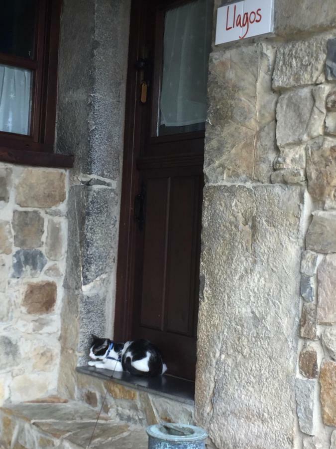 La Xamoca Apartamentos Rurales Campiellos 外观 照片